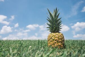 Nutritional Value and Medicinal Benefits of Pineapple 